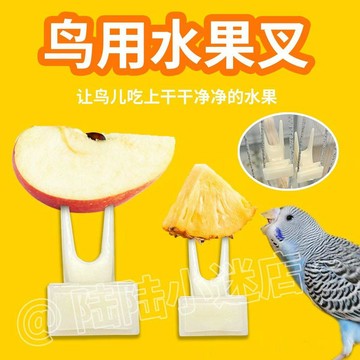 💕新款臻選+99免運🚚鳥用水果叉鳥籠配件塑料叉牡丹虎皮鸚鵡餵食叉子鳥玩具用品餵食器