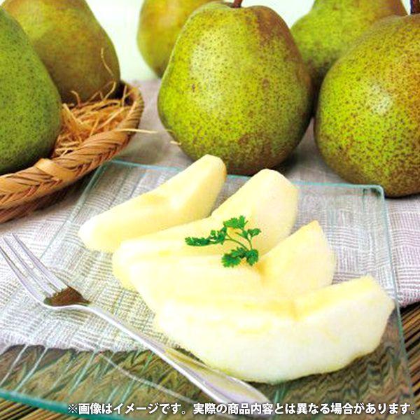 お歳暮 御歳暮 2023 国産 フルーツ 果物 ギフト いずみ会 山形県産 ラフランス 2.5kg セット お取り寄せグルメ 食品 食べ物 メーカー直送