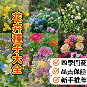 💥四季熱銷💥【花卉種子大全】絕美花卉種子大全！爆花秘境 四季開花  輕鬆打造夢幻花園  臺灣專賣 品質保證 限量熱賣中！