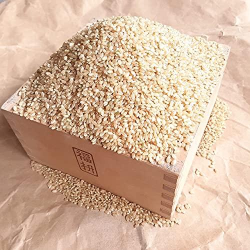 丸増 令和5年産 新米 キヌヒカリ 玄米 30kg 美味しいお米 お届けします brown rice