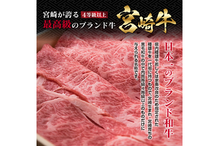 ＜肉質等級4等級以上＞宮崎牛肩ローススライス(500g) DA17-23