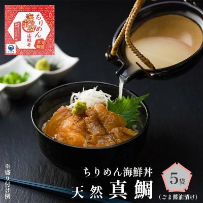 ふるさと納税 舞鶴市 海の宝石　ちりめん海鮮丼　天然真鯛