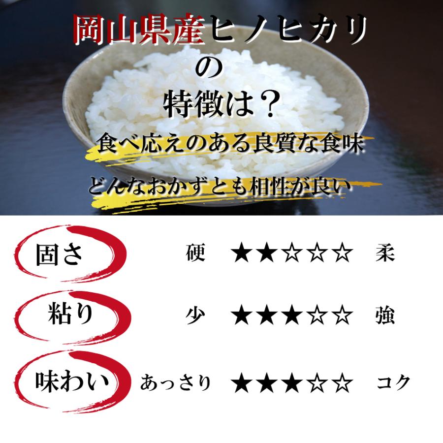 お米 10kg 白米 送料無料 ヒノヒカリブレンド 5kg×2袋 国産  精米 オリジナルブレンド米 ※北海道・沖縄の方は別途送料加算