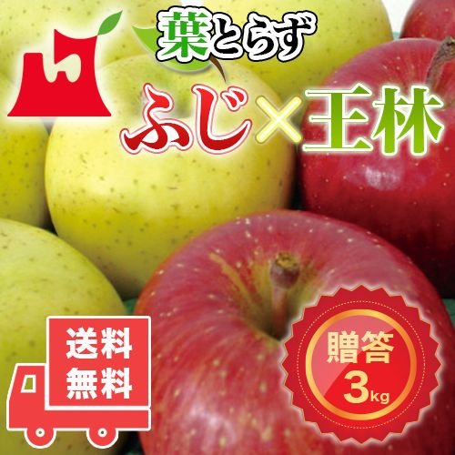 送料無料　青森県産　葉とらず　ふじ・王林セット ご贈答用3kg　(約10個前後)プレミアムリンゴギフトに最適 青森産サンふじ