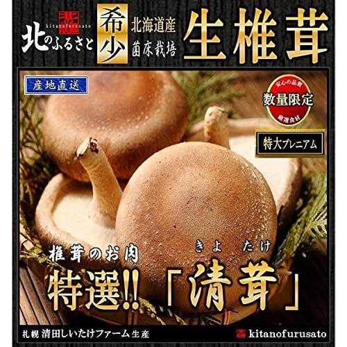 北海道産 生椎茸 肉厚な 清茸 Lサイズ 8玉 × 2パック 北海道 生椎茸 清茸 椎茸 しいたけ シイタケ キノコ きのこ 北海道 ギフト 贈り物