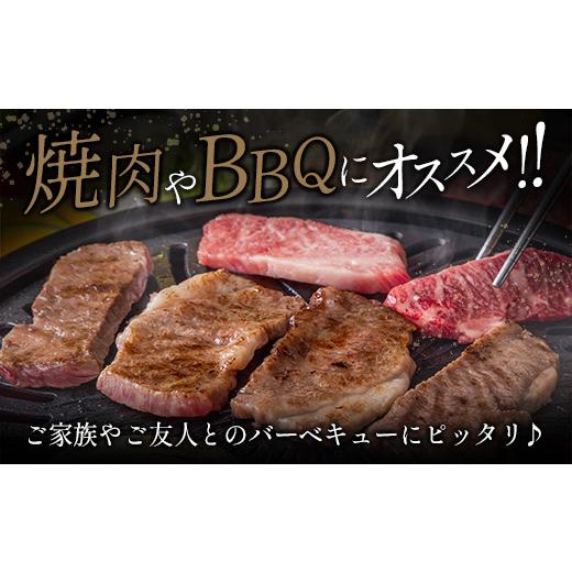 ふるさと納税 宮崎県 新富町 ≪肉質等級4等級≫宮崎牛・豚・ウィンナー人気のBBQ肉セット 合計1.4kg以上 国産 送料無料 焼肉 ※90日程度でお届け