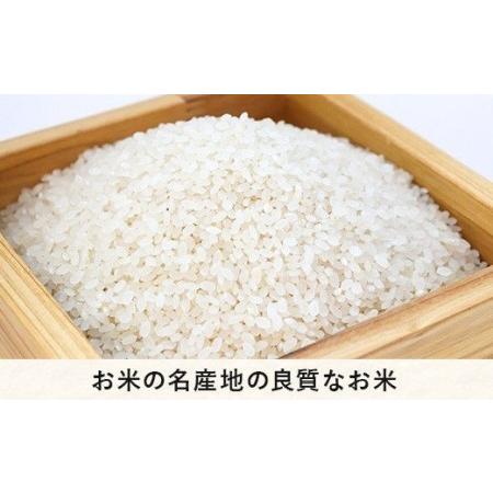 ふるさと納税 米 こしひかり 5kg × 12回 令和5年産 沖縄県への配送不可 2023年11月上旬頃から順次発送予定 米澤商.. 長野県飯綱町