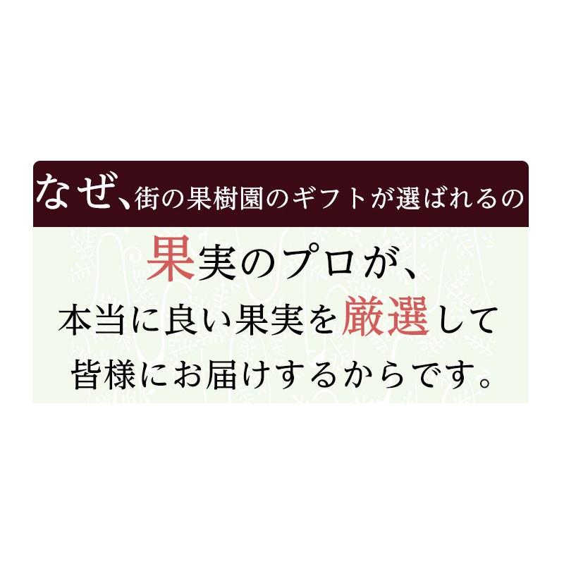 送料無料 産地厳選 アールスメロン 山梨 長野県産 シャインマスカット フルーツ ギフト 送料無料 果物 詰合せ 果物 ギフト 誕生日  贈答 プレゼント