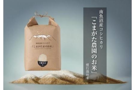 ５kg×６ヶ月　厳選こだわり南魚沼産コシヒカリ　雪室貯蔵　「こまがた農園のお米」