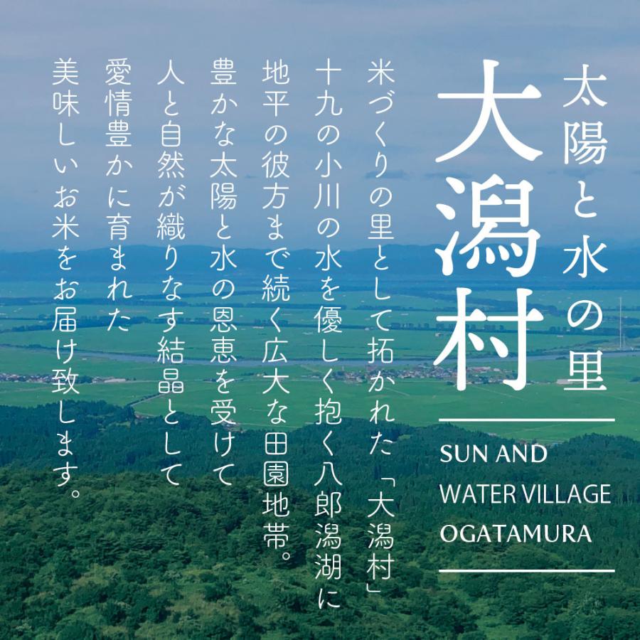 新米出荷開始！ 令和5年産ミルキープリンセス 20kg送料無料 真空パック5kg×4袋