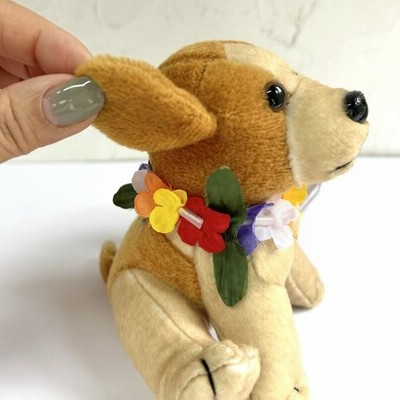 ハワイ直輸入!! コレクティブルアニマルズ DOG1 ハワイアン