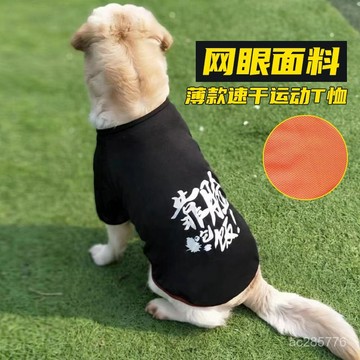 狗狗衣服夏季薄款大型犬中型犬防掉毛金毛拉布拉多柴犬透氣背心