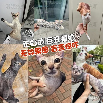 臺灣出貨💥diy抱枕 客製醜抱枕 貓咪抱枕 客製抱枕 醜貓抱枕 客製製無白邊 異形玩偶 無描邊 貓狗寵物照片情侶禮物