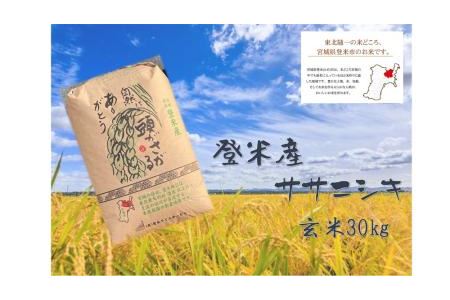 宮城県登米市産ササニシキ玄米　３０kg