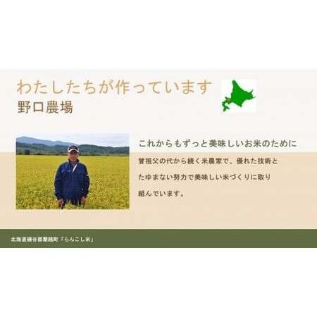 ふるさと納税 〈令和5年度新米〉らんこし米 (ななつぼし) 2kg (野口農場) 北海道蘭越町