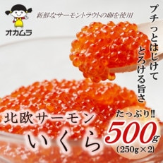 オカムラ食品工業の北欧サーモンいくら 500g(250g×2)