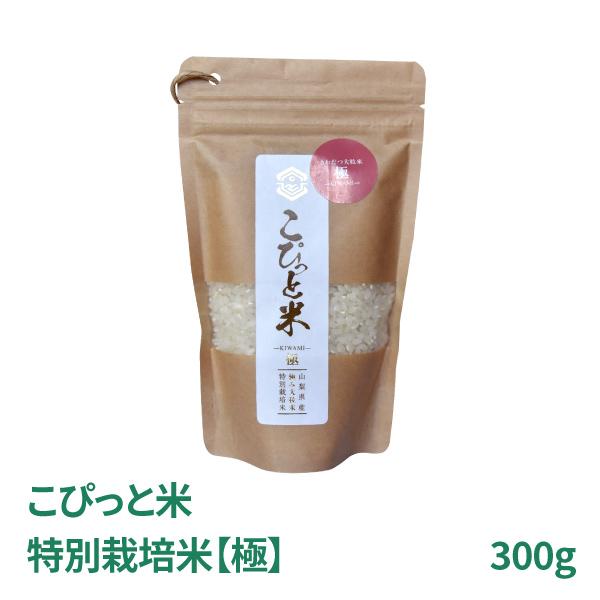 特別栽培米 超大粒米 極 2合 300g お試しサイズ 山梨県北杜市産 こぴっと米 八ヶ岳南麓 超希少米 白米