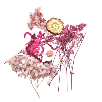 A-ONE 匯旺 乾燥花 C15 隨機乾燥花盒，5入