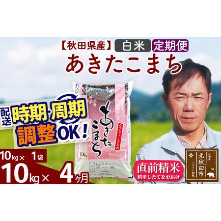 ふるさと納税 《定期便4ヶ月》＜新米＞秋田県産 あきたこまち 10kg(10kg袋) 令和5年産 お届け時期選べる 隔月お届けOK お米 みそらフ.. 秋田県北秋田市