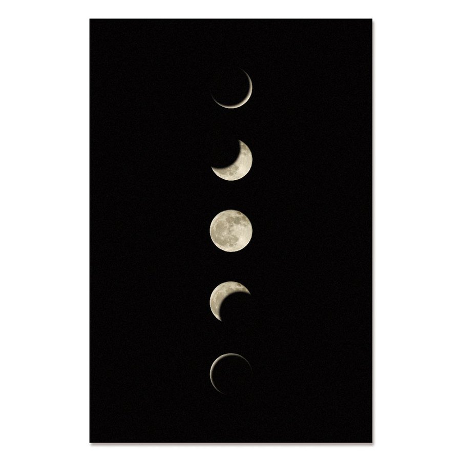 月のポストカード 5moon 満ち欠け Moon Post Card ムーンポストカード ムーングラフィックス Flags 通販 Lineポイント最大get Lineショッピング