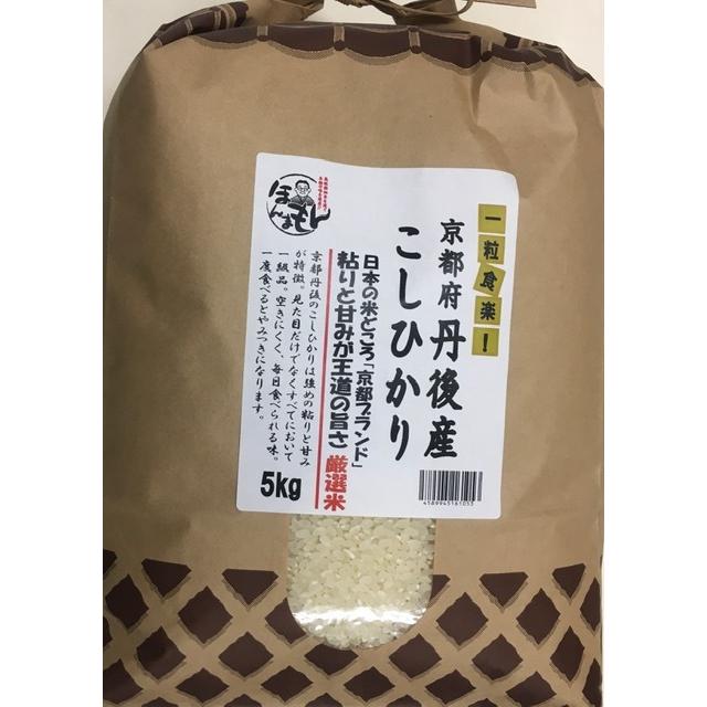 お米 10kg 5kg×2  京都丹後こしひかり 令和４年産 新米 契約栽培米