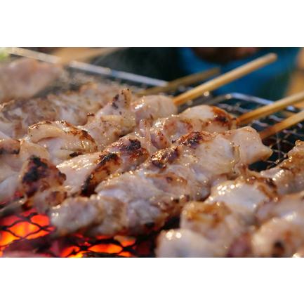 ふるさと納税 塩麹につけたよさこい尾鶏と力豚のBBQセット 高知県大月町