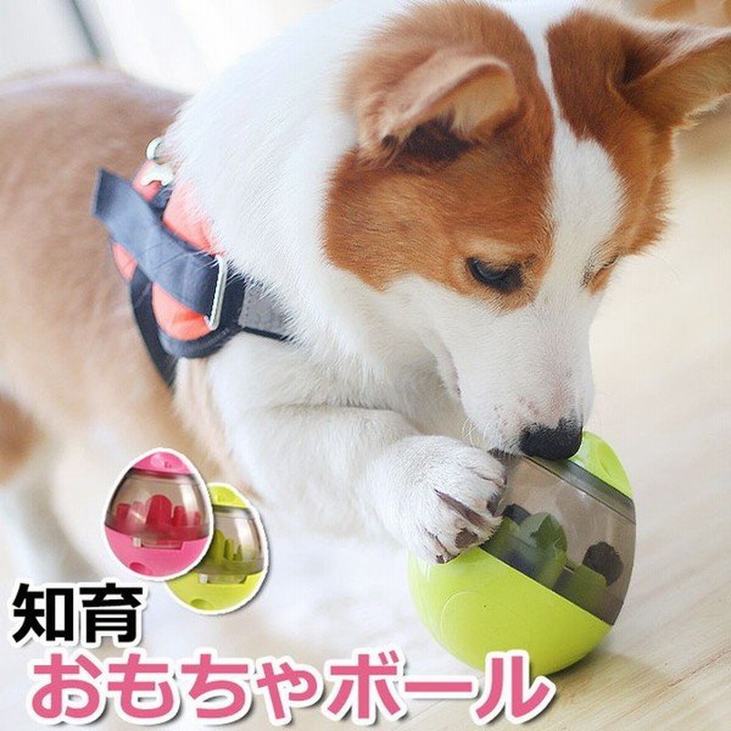 犬 食事ペット グッズ 留守番 おやつ ボール おもちゃ 知育 えさ 早食い ダイエット 猫 知育玩具 1人遊び 転がる しつけ 運動不足 動く 餌 ジャ 通販 Lineポイント最大0 5 Get Lineショッピング