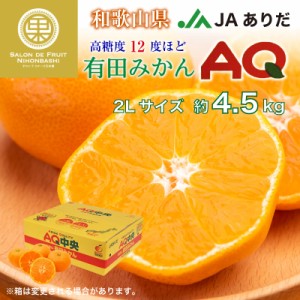 [予約 2023年 12月25日頃から発送]有田みかん AQみかん 約4.5kg 2L 和歌山県有田産 JAありだ 高糖度 有田AQ選果場 産地箱 上級品 冬ギフ