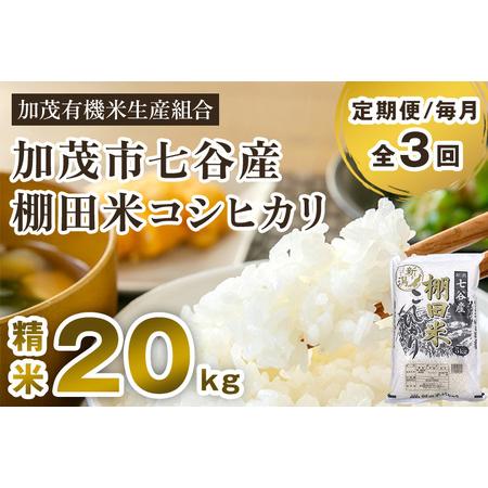 ふるさと納税 新潟県加茂市 七谷産 棚田米コシヒカリ 精米20kg（5kg×4）白米 加茂有機米生産組合 定期便 定期購入 .. 新潟県加茂市