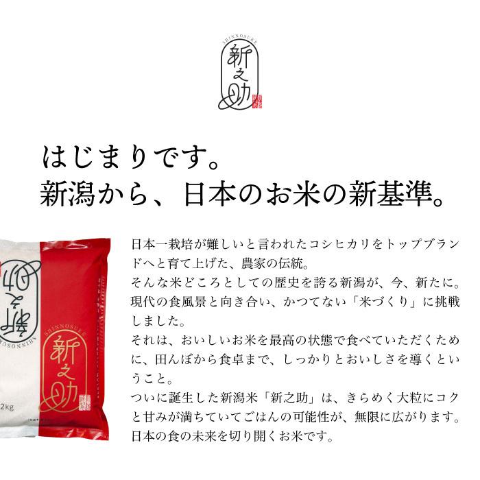 無洗米 新潟県産 新之助 白米 精米 5kg 令和5年産 新米 しんのすけ 5キロ 農家直送 お米