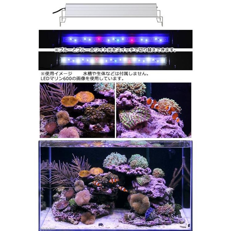 アクロ ＴＲＩＡＮＧＬＥ ＬＥＤ ＭＡＲＩＮＥ ４５０ ２００００Ｋ