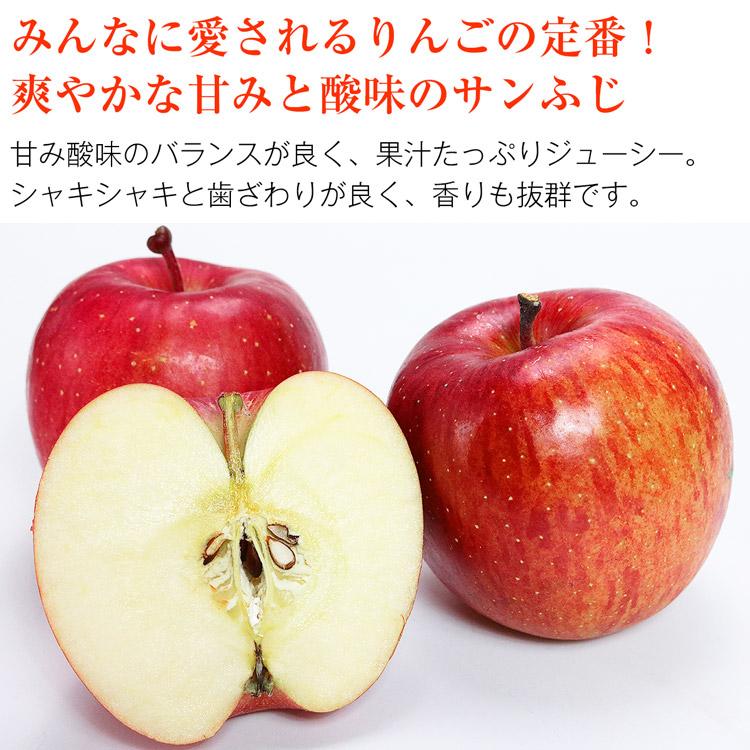 サンふじ 青森県産 ご家庭用 3kg 9〜12玉 りんご リンゴ 林檎 ふじりんご 青森りんご 産地直送 指定日不可 同梱不可 産直