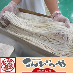 業務用！ うちたて純生讃岐うどん どぉ～んと20kg！！