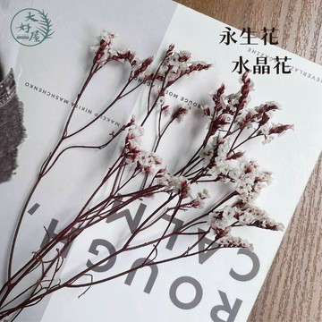 大好屋 台灣現貨 永生水晶花 CP質高 精緻小份量 材料包 居家裝飾 花材 手作花 DIY 花藝 插花 花束