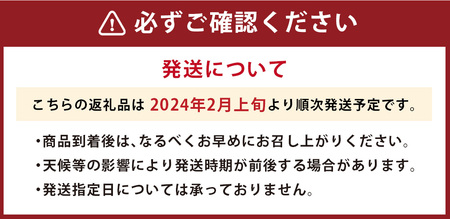 福岡産 あまおう いちご 約250～270g×4パック 大粒