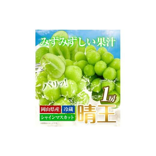 ふるさと納税 岡山県 浅口市 ぶどう [2024年先行予約] シャインマスカット 晴王 1房 650g 岡山県産《9月上旬-11月中旬頃出荷(土日祝除く)》 ハレノフルーツ マ…