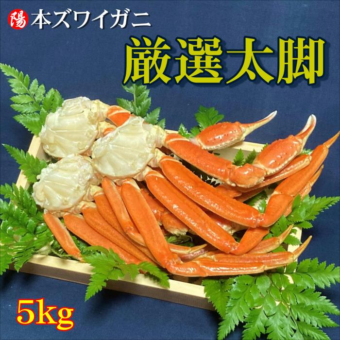 本ズワイガニ脚 ボイル済み 大 5kg 26肩前後