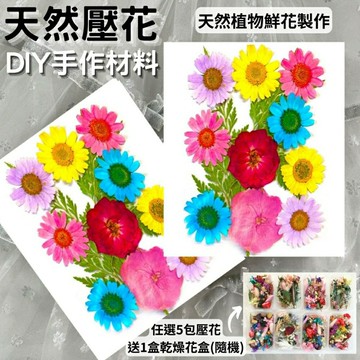 【A-ONE】彩色壓花包 壓花 押花 乾燥花 押花材料 永生花 精選天然真花 乾燥花 蠟燭 滴膠 押花 壁畫 花材