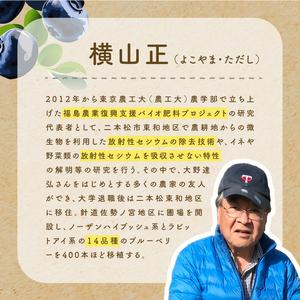 ふるさと納税 東京農工大学名誉教授「横山　正」ブランドのブルーベリー冷凍果実2パックセット（品種おまかせ） 福島県二本松市