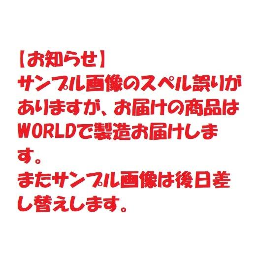 プロ野球応援グッズ（侍ジャパン用） WORLD CHAMPION野球ボールデザインエンブレムワッペン金