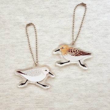 Sanderling壓克力鑰匙扣