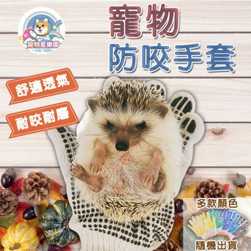 【快速出貨】防倉鼠咬手套 顏色隨機出貨 防咬手套 安全手套 倉鼠用品 小寵物洗澡防抓傷