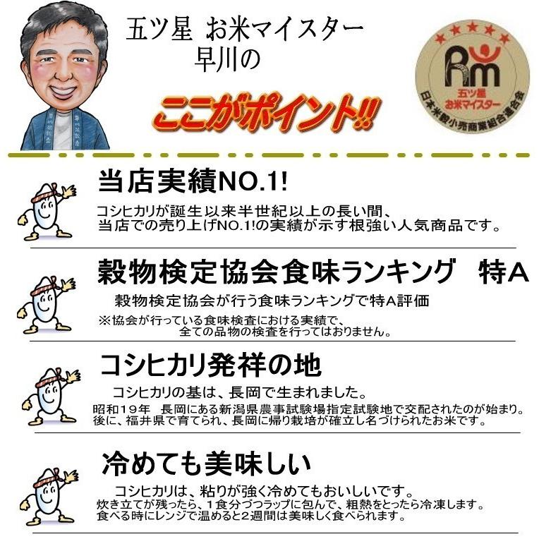 コシヒカリ 1kg 新潟県産コシヒカリ 令和５年産 新米