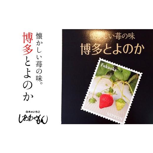 ふるさと納税 福岡県 小郡市 いちご職人 白木のいちご「しあわせもん」 とよのか 化粧箱 1箱