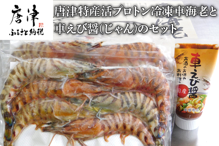 唐津特産活プロトン冷凍車海老と車えび醤(じゃん)のセット(250g×2P 醤90g) 刺身 フライ 煮付 ギフト