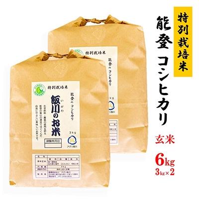 ふるさと納税 七尾市 能登のコシヒカリ　飯川のお米　6kg(玄米3kg×2袋)