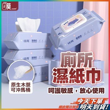 【外出使用超方便】濕紙巾 純水濕紙巾 濕紙巾隨身包 可沖馬桶 現貨 迷你濕紙巾 濕紙巾蓋 紙巾 溼紙巾 廁所濕紙巾