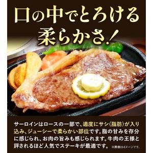 ふるさと納税 黒毛和牛 A5等級 肉 和牛 国産 牛肉 サーロイン ステーキ ステーキ肉 約400g (約200g×2枚) 株式会社ウィズフラワーホールディ.. 岡山県浅口市