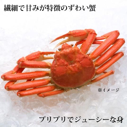 ずわい蟹　500g×2杯　1kg　冷凍便　カニ　姿