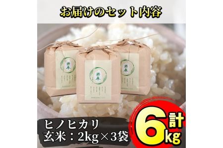 y171 名水百選の郷！ヒノヒカリ玄米6kg（2kg×3袋）